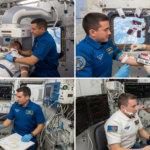 Medical Emergency in Space: NASA Postpones Spacewalk Due to Crew Health Concern